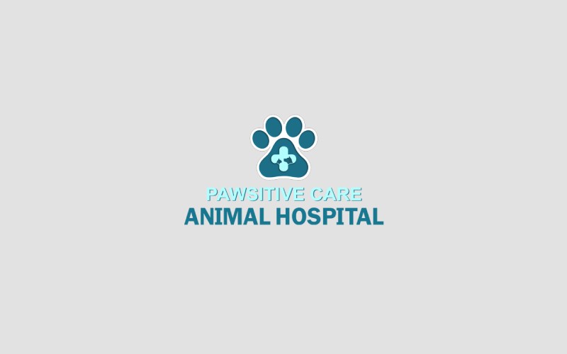 Finding Quality Care for Your Furry Friends: A Guide to Finding the Right Veterinarian