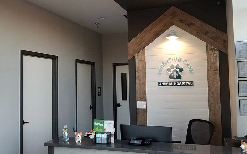 When Should You Call an Emergency Vet in Manassas