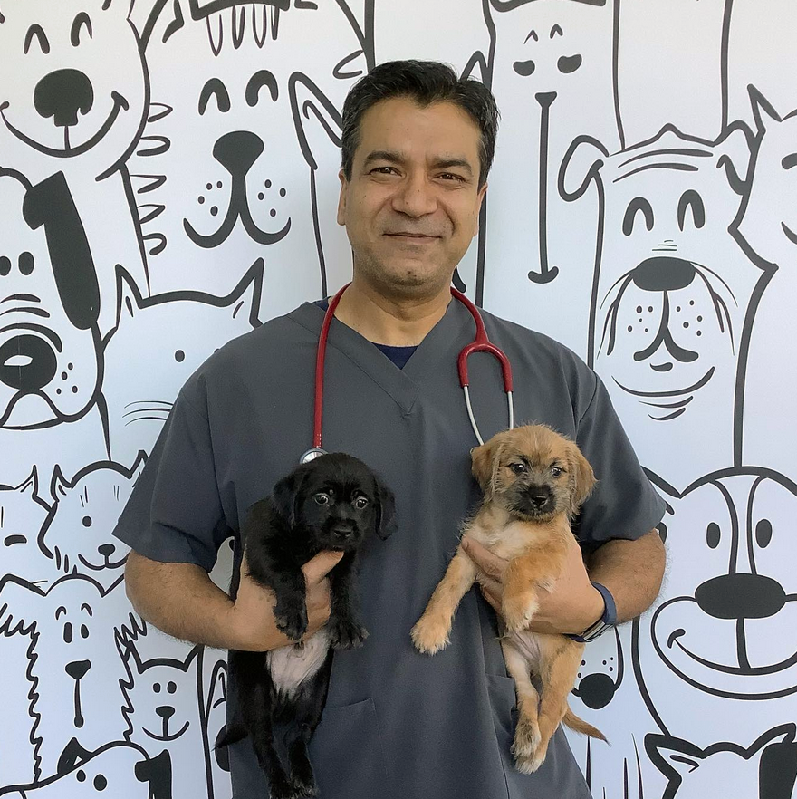 About Pawsitive Care Animal Hospital