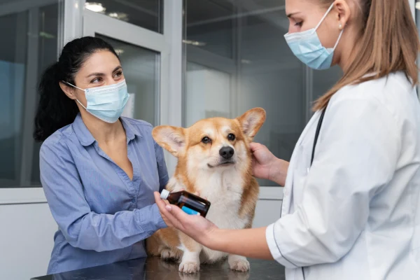 Heartworm/Flee/Tick Prevention