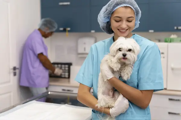 Wellness & Vaccinations
