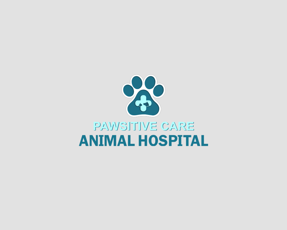 Finding Quality Care for Your Furry Friends: A Guide to Finding the Right Veterinarian